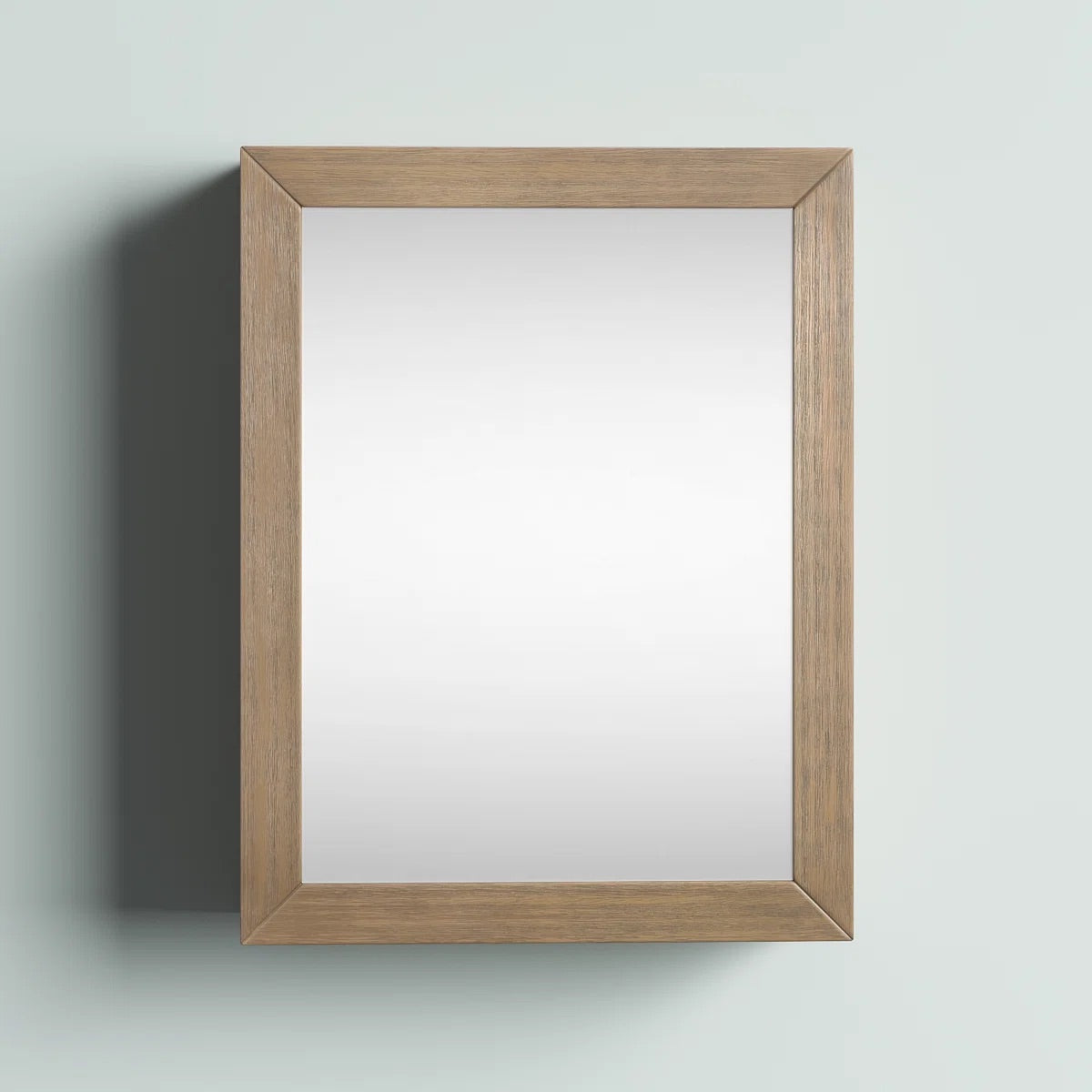 Bergen 20"W x 26"H Framed Mirror Medicine Cabinet