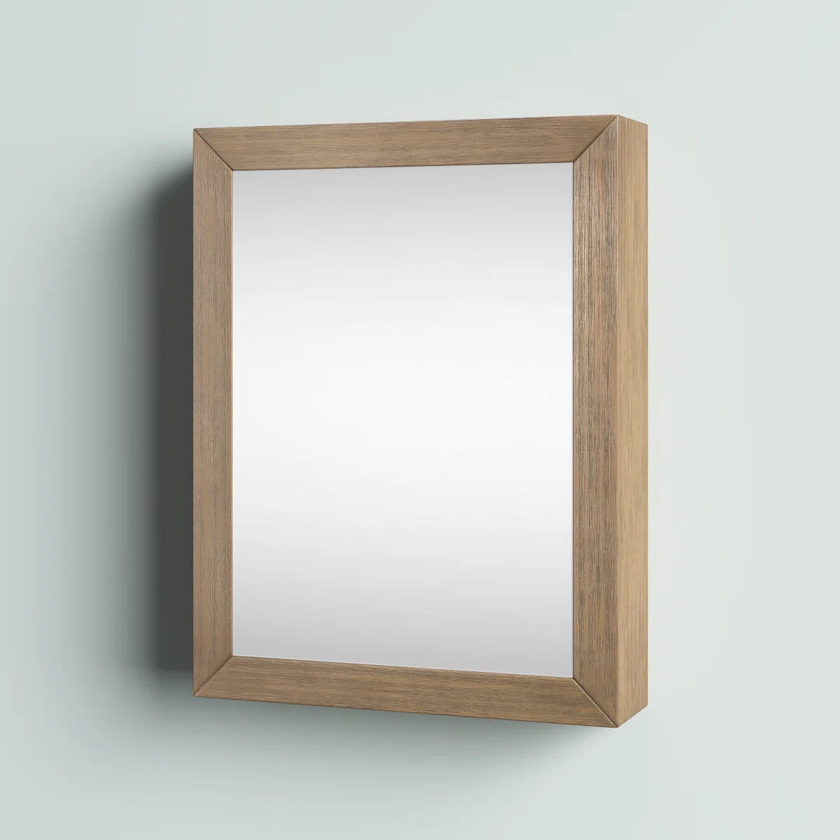 Bergen 20"W x 26"H Framed Mirror Medicine Cabinet