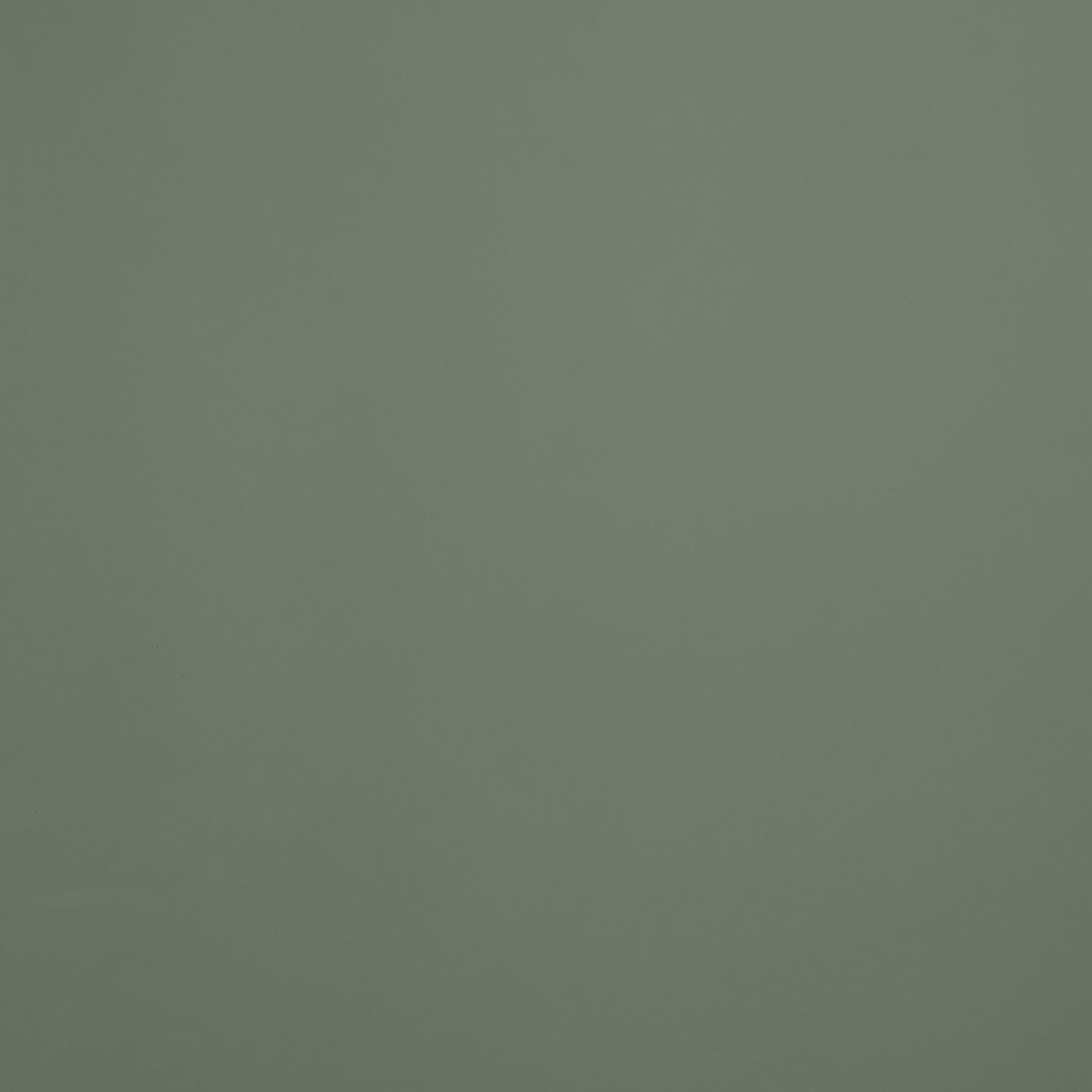 Thyme Painted Material Sample