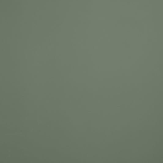 Thyme Painted Material Sample